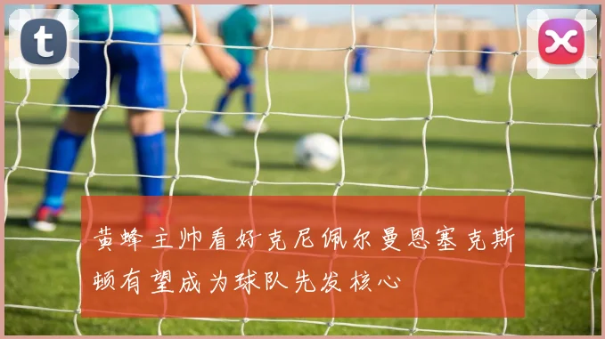 黄蜂主帅看好克尼佩尔曼恩塞克斯顿有望成为球队先发核心