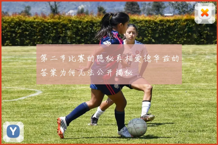 第二节比赛的隐秘真相爱德华兹的答案为何无法公开揭秘