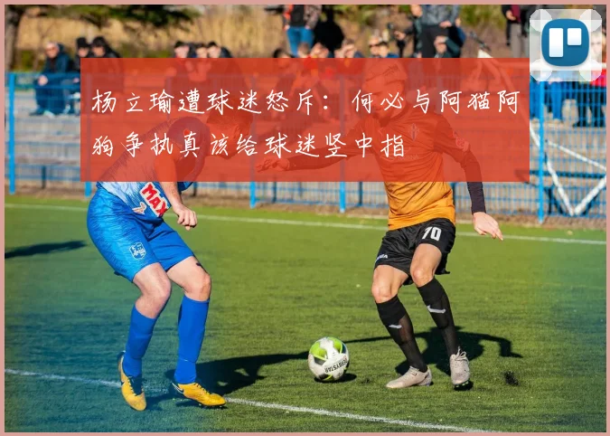 杨立瑜遭球迷怒斥：何必与阿猫阿狗争执真该给球迷竖中指